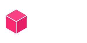 Software Excellence Network Logo White