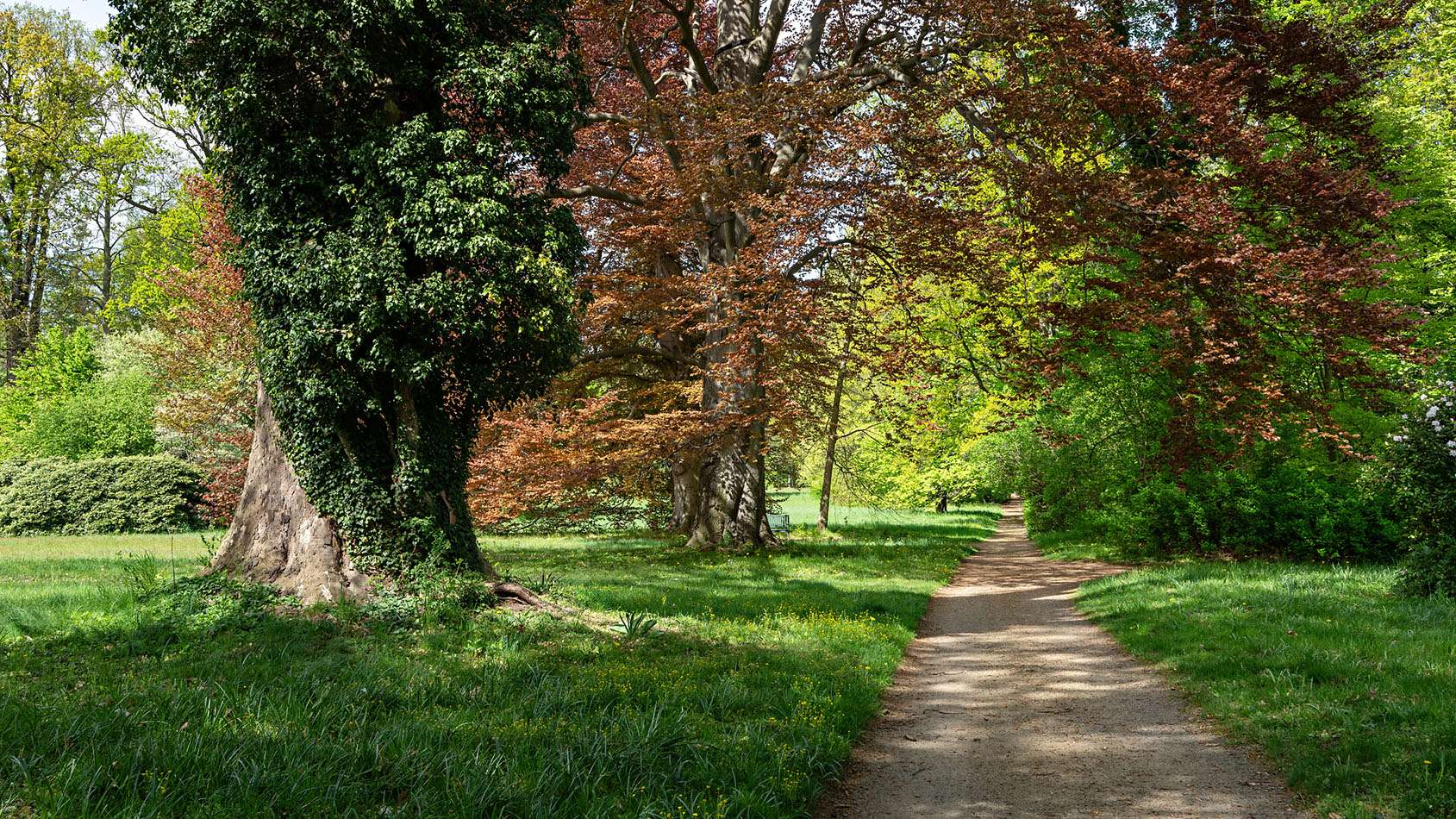 Schloss Fuerstlich Drehna